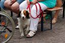 Filename=_MG_2653.jpg
Filesize=546KiB
Dimensions=900x600
Date added=Jun 28, 2017 _MG_2653.jpg